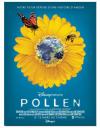 Affiche du film Pollen