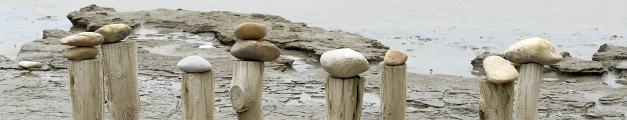 Le blog de Danièle Boone